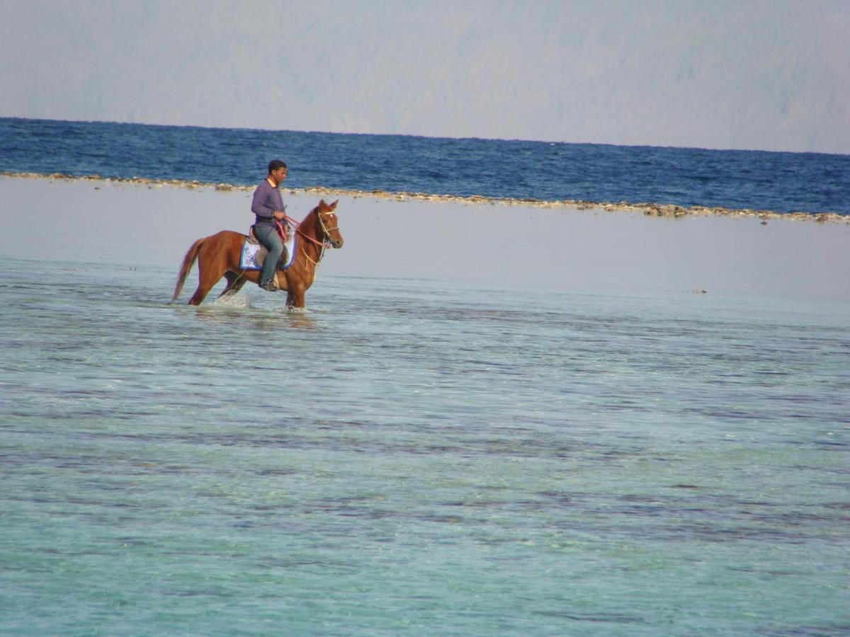 Villa Boghdady Dahab Esterno foto